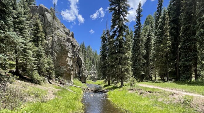 Our Family’s Favorite Hike: Las Conchas Trail