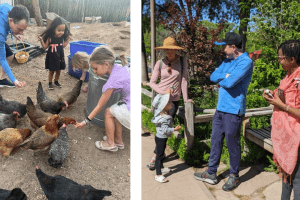 Cohousing ABQ :: A Vision of Village Life in the City