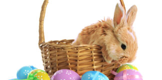 Photos with the Easter Bunny in Albuquerque Easter Bunny