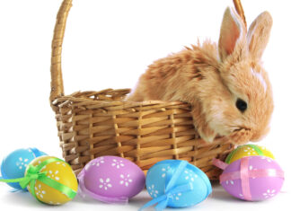Photos with the Easter Bunny in Albuquerque Easter Bunny