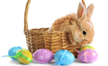 Photos with the Easter Bunny in Albuquerque Easter Bunny
