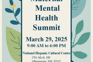 savethedate_flyer_for_mmh_summit_2025__2__720