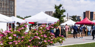 Guide to May Family-Friendly Events in Albuquerque Farmers Market May