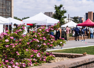 Guide to May Family-Friendly Events in Albuquerque Farmers Market May