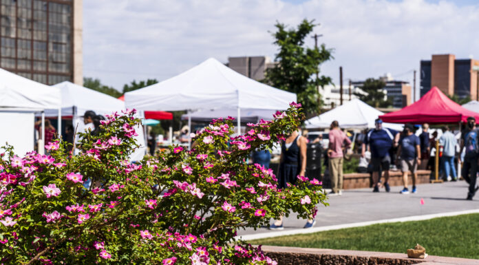Guide to May Family-Friendly Events in Albuquerque Farmers Market May