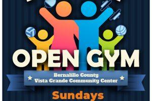 Family-Open-Gym-VGCC-2024-01