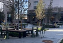 Guide to Patio Dining in the Albuquerque Area Park Square Market