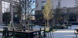 Guide to Patio Dining in the Albuquerque Area Park Square Market