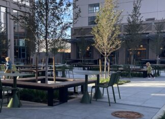 Guide to Patio Dining in the Albuquerque Area Park Square Market