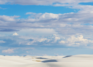 ABQ Mom’s Guide to New Mexico Travel