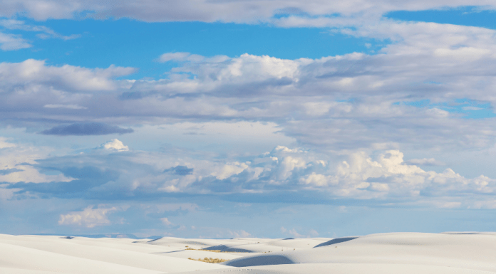 ABQ Mom’s Guide to New Mexico Travel
