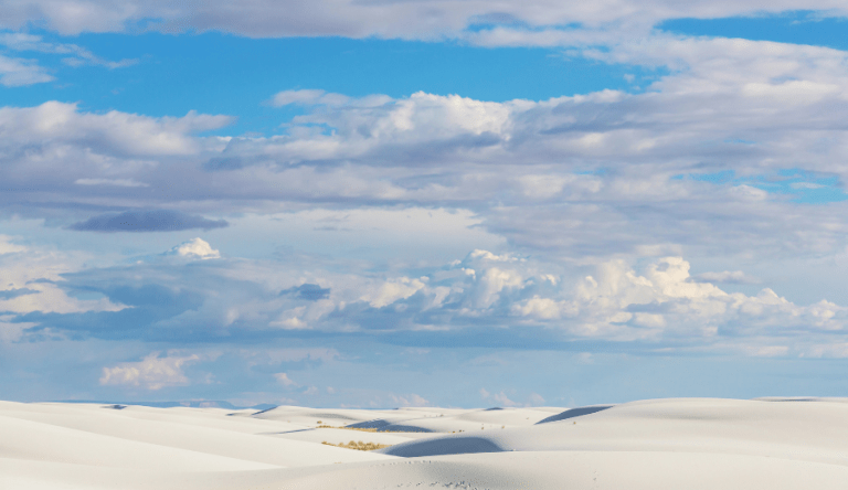 Copy-of-900-x-520-Website-Images-104-768×444