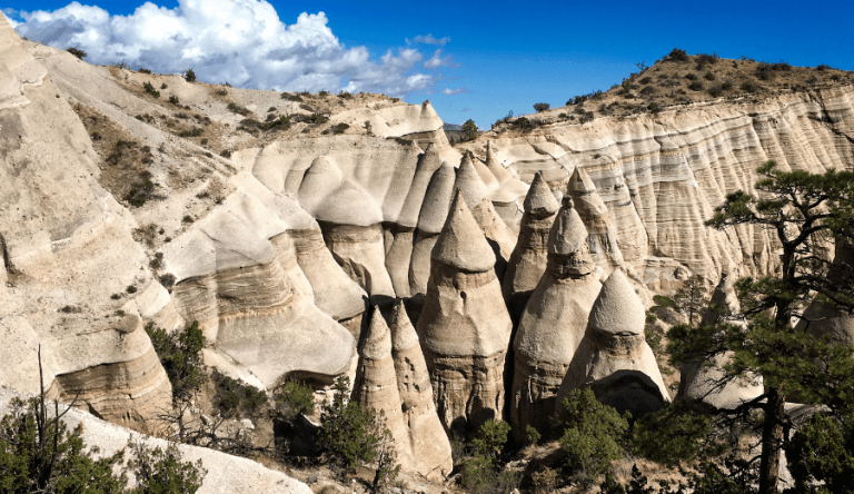Copy-of-900-x-520-Website-Images-81-768×444