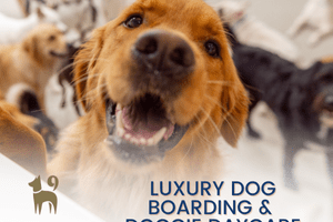 K9 tile ad
