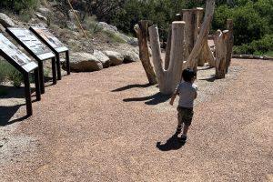 IMG_7371 (1)