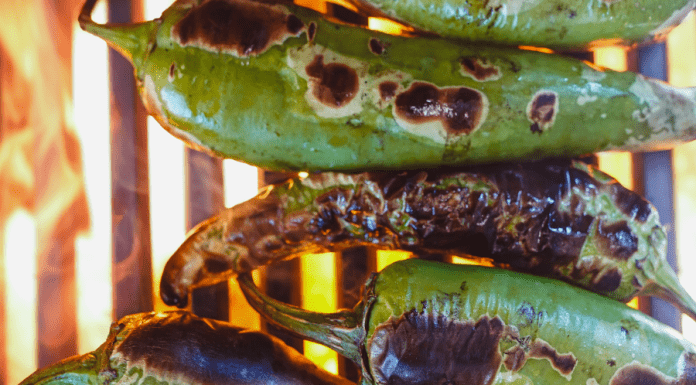 September Family-Friendly Events in the Albuquerque Area