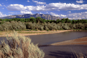 Welcome to Albuquerque: Your Official Starter Kit