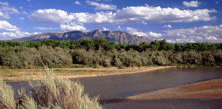 Welcome to Albuquerque: Your Official Starter Kit Welcome to Albuquerque: Your Official Starter Kit