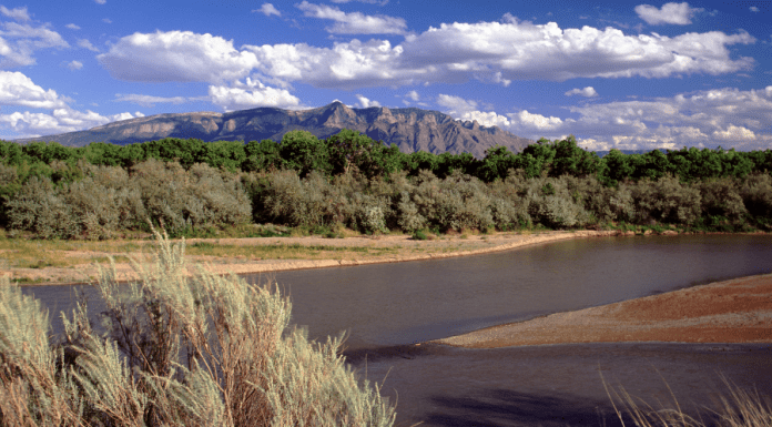 Welcome to Albuquerque: Your Official Starter Kit Welcome to Albuquerque: Your Official Starter Kit