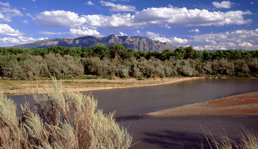 Welcome to Albuquerque: Your Official Starter Kit