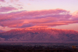 Welcome to Albuquerque: Your Official Starter Kit