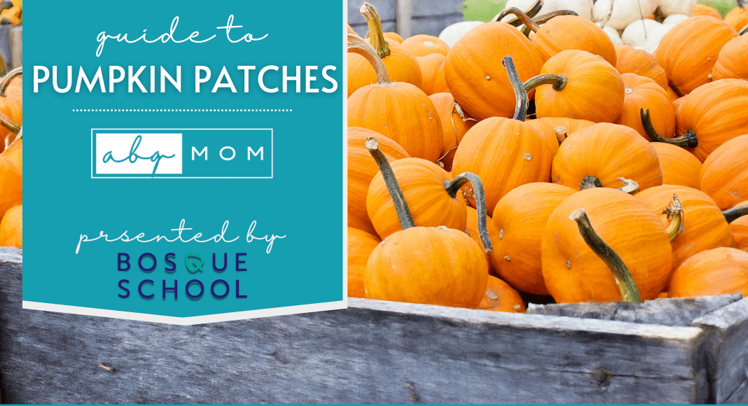 pumpkin patches Albuquerque