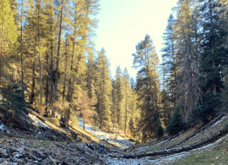 Santa Fe Outdoors with Kids :: Trails, Playgrounds, & Scenic Spots Santa Fe Outdoors with Kids :: Trails, Playgrounds, & Scenic Spots