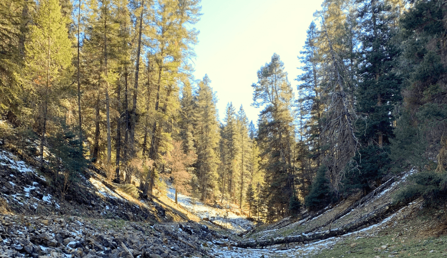Santa Fe Outdoors with Kids :: Trails, Playgrounds, & Scenic Spots Santa Fe Outdoors with Kids :: Trails, Playgrounds, & Scenic Spots