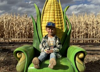 McCall’s Pumpkin Patch with Kids: What to Know Before Going McCall's