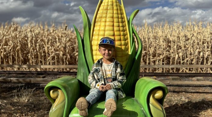 McCall’s Pumpkin Patch with Kids: What to Know Before Going McCall's