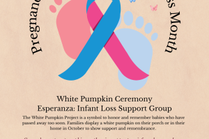 Blue Pink Watercolor Pregnancy and Infant Loss Awareness Day Instagram Post