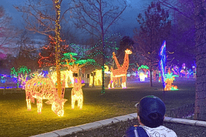 Thanksgiving Weekend Itinerary for Visitors (with Local Events)
