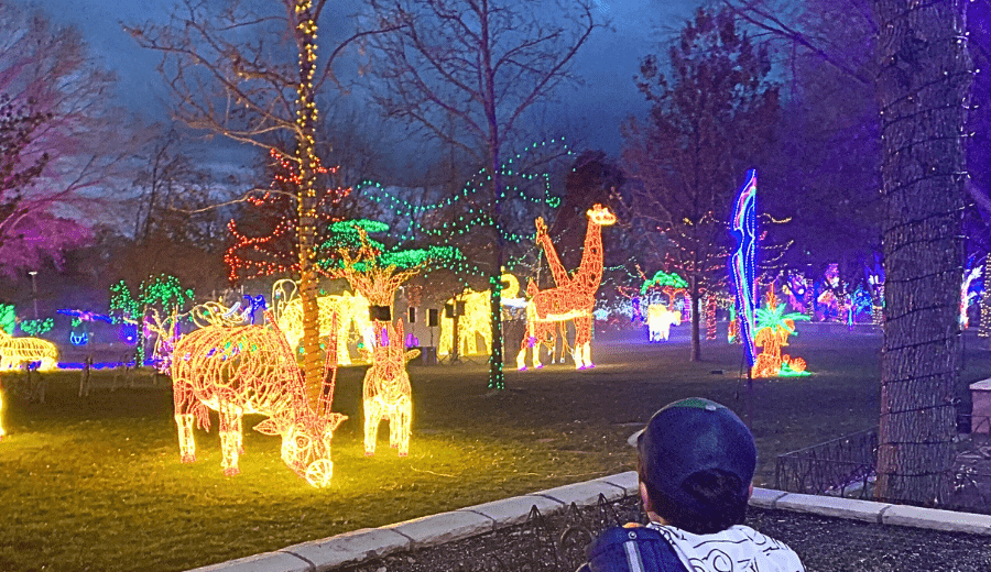 Thanksgiving Weekend Itinerary for Visitors (with Local Events)