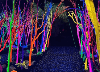 Santa Fe Indoor Activities, Adventure, & Play for Kids indoor activities and play in Santa Fe | Meow Wolf