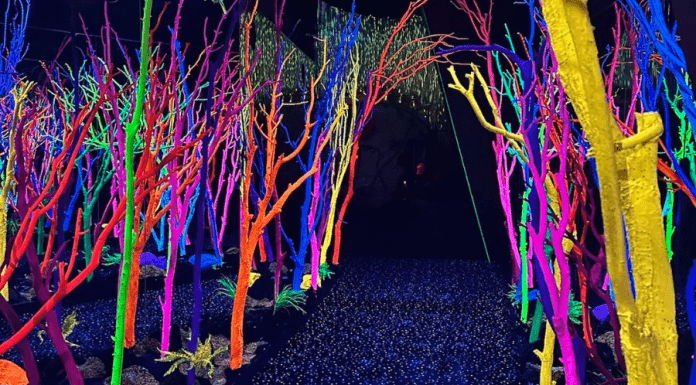 Santa Fe Indoor Activities, Adventure, & Play for Kids indoor activities and play in Santa Fe | Meow Wolf