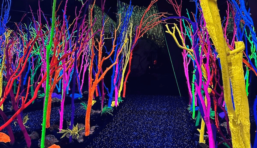 indoor activities and play in Santa Fe | Meow Wolf indoor activities and play in Santa Fe | Meow Wolf