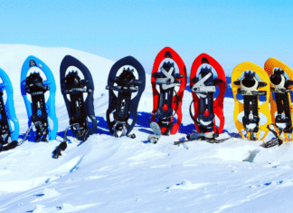 Snowshoeing & Cross-Country Skiing Near Albuquerque: 8 Scenic Spots to Explore Snowshoeing & Cross-Country Skiing Near Albuquerque: 8 Scenic Spots to Explore