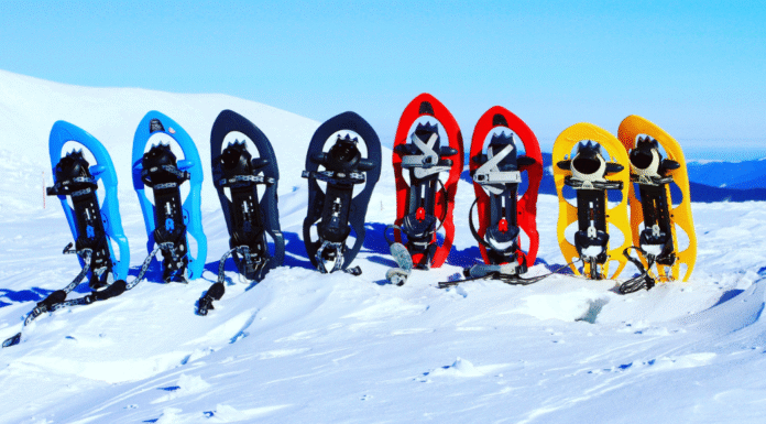 Snowshoeing & Cross-Country Skiing Near Albuquerque: 8 Scenic Spots to Explore Snowshoeing & Cross-Country Skiing Near Albuquerque: 8 Scenic Spots to Explore