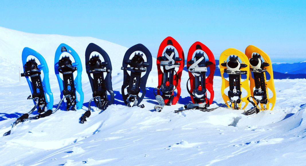 Snowshoeing & Cross-Country Skiing Near Albuquerque: 8 Scenic Spots to Explore Snowshoeing & Cross-Country Skiing Near Albuquerque: 8 Scenic Spots to Explore