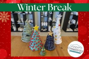 Winter Break abq mom