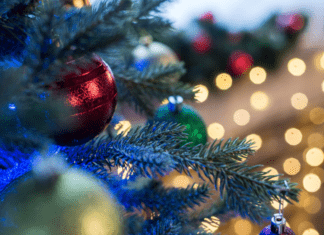 Holiday Assistance for Single Moms :: Gifts, Clothing, Food, & More