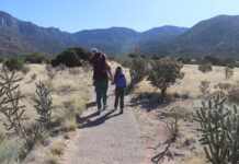 Family-Friendly Hikes and Trails In and Around Albuquerque