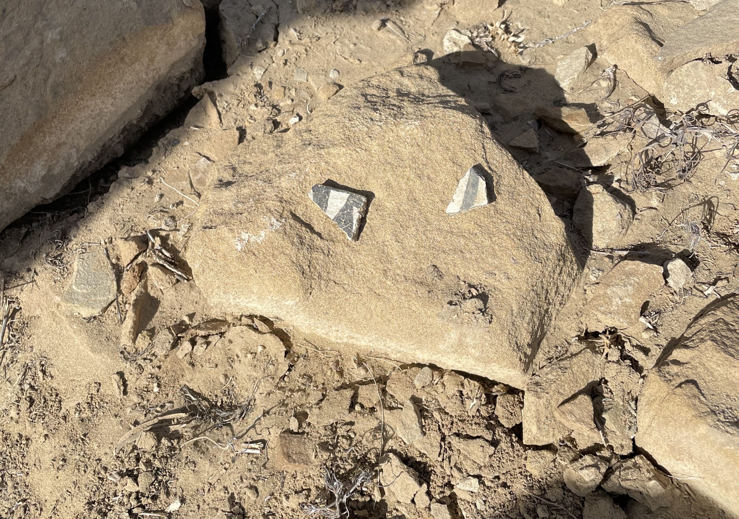 Visit Chaco Culture National Historic Park with kids