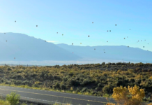 Route 66 Centennial :: Local Events to Celebrate the Mother Road Route 66 Centennial- things to do in ABQ to celebrate