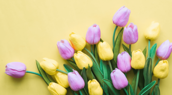 March Family-Friendly Events in Albuquerque Guide to March