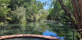 5 Hot Springs Near Albuquerque (With Kid-Friendly Options) hot springs