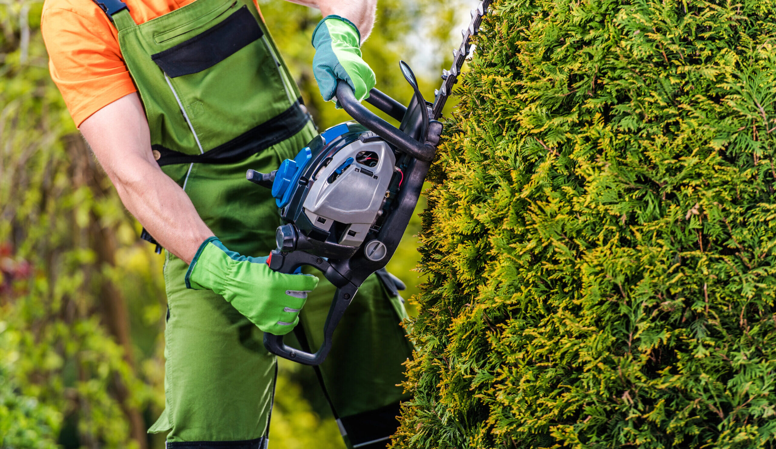 Landscaper yard maintenance