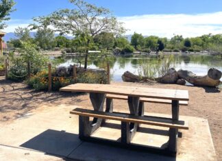 Perfect Picnic Spots In & Around Albuquerque Tingley Beach