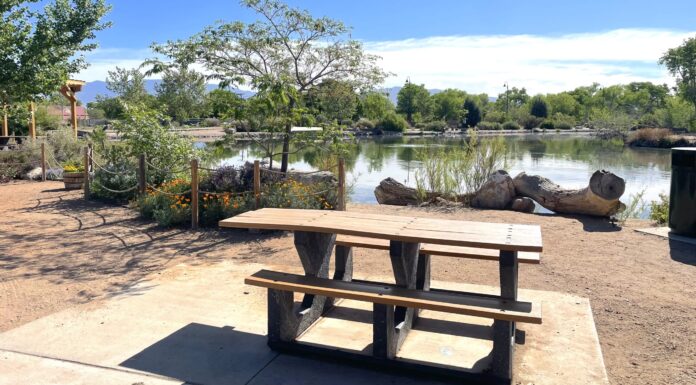 Perfect Picnic Spots In & Around Albuquerque Tingley Beach