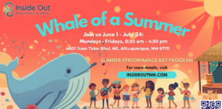 IOPA Summer Performance Art Program